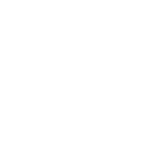 49 Logo